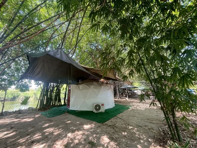 ที่ดินพร้อมกิจการหนองรี ชลบุรี, Chon Buri (Pattaya), Nong Ri, Muang Chon Buri, Chon Buri (Pattaya), , 4,640 sqm, Land For Sale, by The Best Property เอก, 500431823 - DDproperty.com