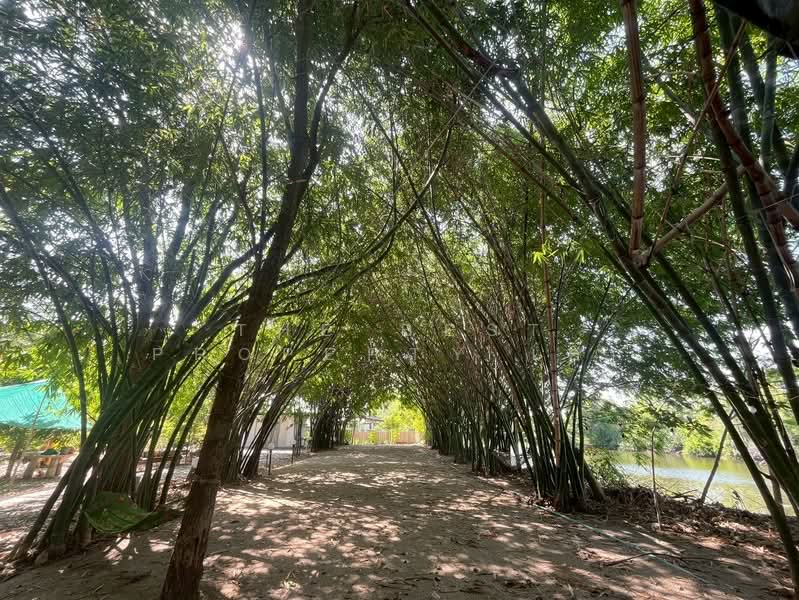 ที่ดินพร้อมกิจการหนองรี ชลบุรี, Chon Buri (Pattaya), Nong Ri, Muang Chon Buri, Chon Buri (Pattaya), , 4,640 sqm, Land For Sale, by The Best Property เอก, 500431823 - DDproperty.com