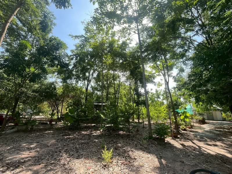 ที่ดินพร้อมกิจการหนองรี ชลบุรี, Chon Buri (Pattaya), Nong Ri, Muang Chon Buri, Chon Buri (Pattaya), , 4,640 sqm, Land For Sale, by The Best Property เอก, 500431823 - DDproperty.com