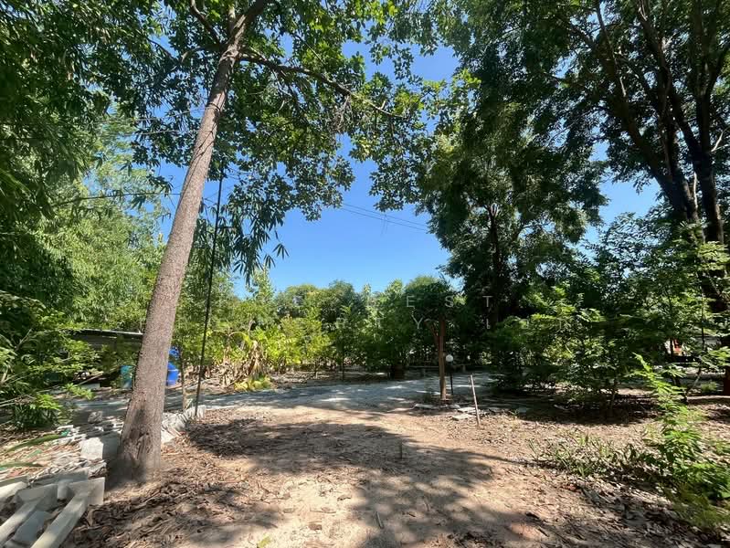 ที่ดินพร้อมกิจการหนองรี ชลบุรี, Chon Buri (Pattaya), Nong Ri, Muang Chon Buri, Chon Buri (Pattaya), , 4,640 sqm, Land For Sale, by The Best Property เอก, 500431823 - DDproperty.com