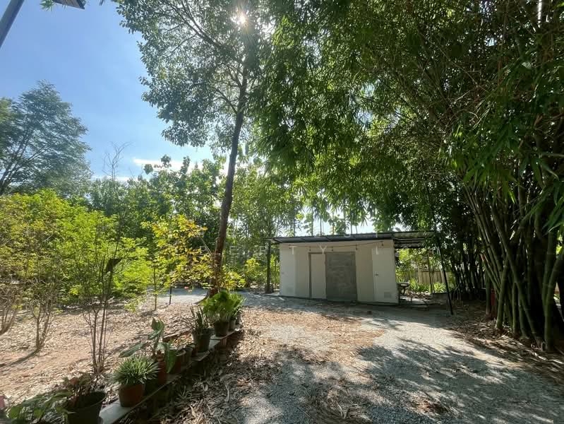 ที่ดินพร้อมกิจการหนองรี ชลบุรี, Chon Buri (Pattaya), Nong Ri, Muang Chon Buri, Chon Buri (Pattaya), , 4,640 sqm, Land For Sale, by The Best Property เอก, 500431823 - DDproperty.com