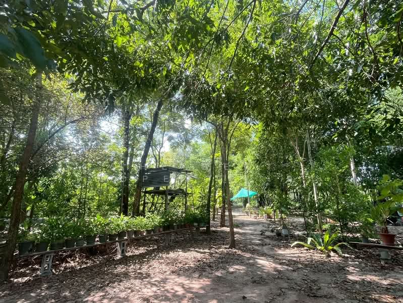 ที่ดินพร้อมกิจการหนองรี ชลบุรี, Chon Buri (Pattaya), Nong Ri, Muang Chon Buri, Chon Buri (Pattaya), , 4,640 sqm, Land For Sale, by The Best Property เอก, 500431823 - DDproperty.com