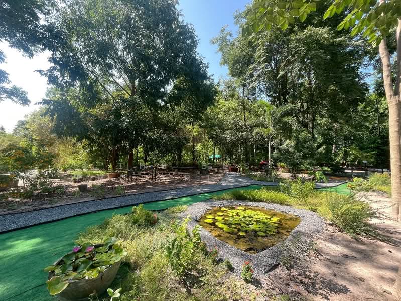 ที่ดินพร้อมกิจการหนองรี ชลบุรี, Chon Buri (Pattaya), Nong Ri, Muang Chon Buri, Chon Buri (Pattaya), , 4,640 sqm, Land For Sale, by The Best Property เอก, 500431823 - DDproperty.com