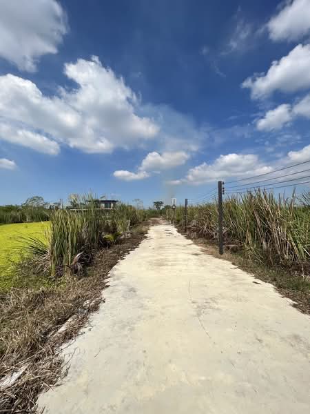 2 Rai 75 Sq.wah Land with Factory near near Future Outer Ring Road in Lam Luk Ka Khlong 11, Pathum Thani, Bung Thong Lang, Lam Luk Ka, Pathum Thani, , 3,500 sqm, Land For Sale, by KRAN KOSITRAT, 500431845 - DDproperty.com