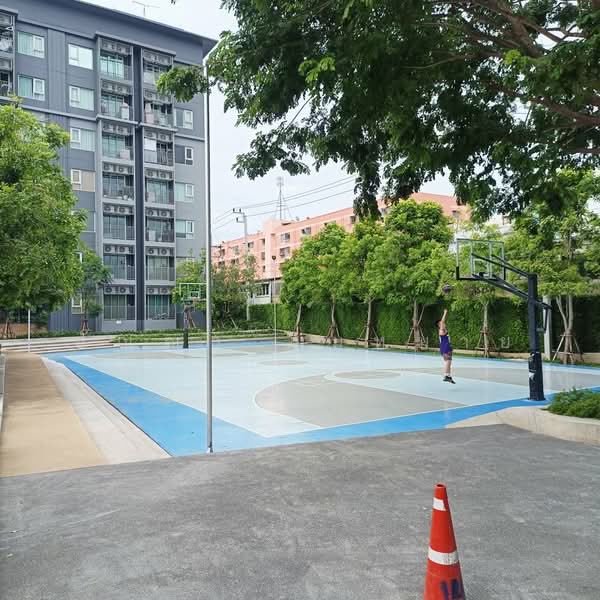 Niche Mono Ramkhamhaeng, Bangkok, Soi Ramkhamhaeg 36, Hua Mak, Bang Kapi, Bangkok, 1 Bedroom, 29 sqm, Condo For Rent, by ปัญญา สมหมาย, 500431890 - DDproperty.com