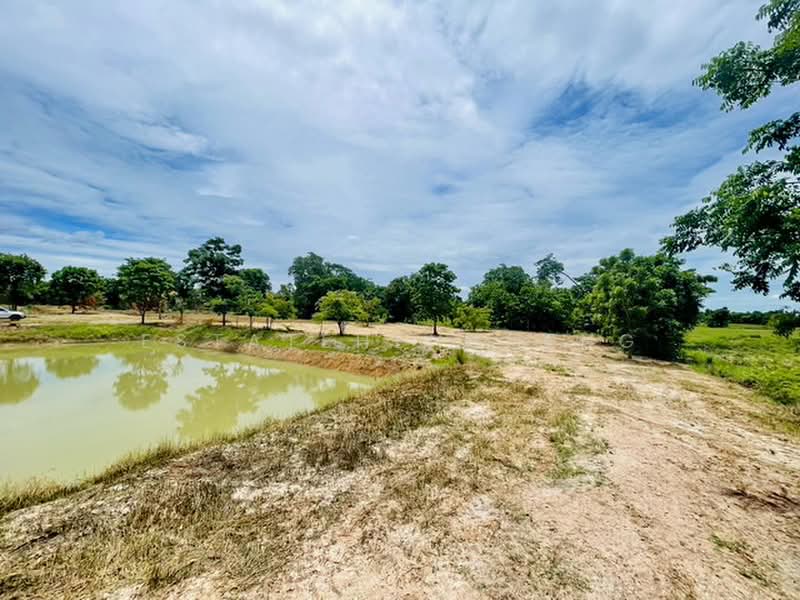 Land CHAI NAT - Hunkha, Chai Nat, Den Yai, Han Kha, Chai Nat, , 12,800 sqm, Land For Sale, by Estatehengheng, 500432044 - DDproperty.com
