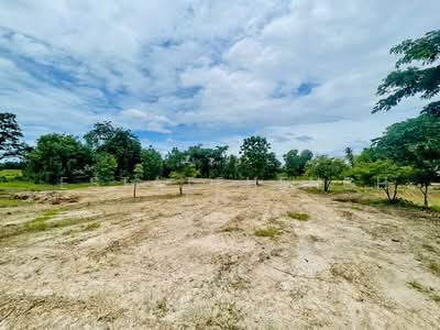 ขาย - ที่ดิน ชัยนาท หันคา, ชัยนาท