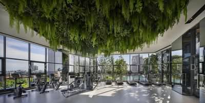 For Rent - IDEO Sukhumvit Rama 4, Bangkok