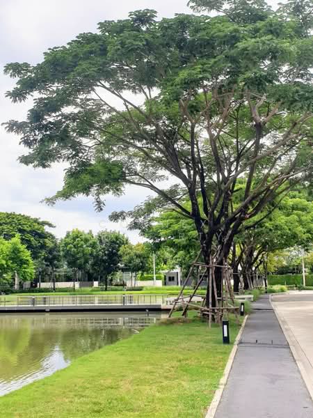 Mantana Wongwaen-Bangbon, Bangkok, 115 Bang Bon 4 Road, Bang Bon, Bangkok, 4 Bedrooms, 250 sqm, Single Detached House For Sale, by Connex Property, 500432157 - DDproperty.com