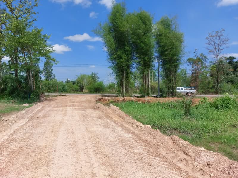 ที่ดินท่าบ่อ หนองคาย, หนองคาย, นาข่า, ท่าบ่อ, หนองคาย, 26,745 ตร.ม., ที่ดิน ขาย, โดย The Best Property เป้า, 500432167 - DDproperty.com