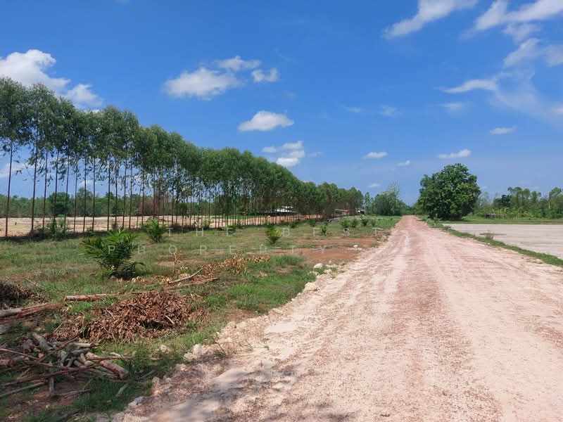 ที่ดินท่าบ่อ หนองคาย, หนองคาย, นาข่า, ท่าบ่อ, หนองคาย, 26,745 ตร.ม., ที่ดิน ขาย, โดย The Best Property เป้า, 500432167 - DDproperty.com