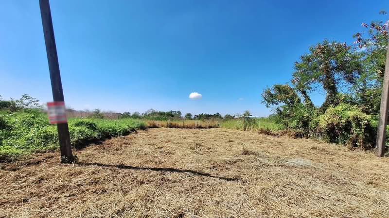 ที่ดินธัญบุรี ปทุมธานี, Pathum Thani, Lam Phak Kut, Thanyaburi, Pathum Thani, , 264 sqm, Land For Sale, by The Best Property หาญ, 500432170 - DDproperty.com
