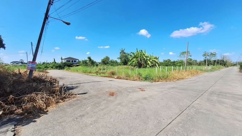 ที่ดินธัญบุรี ปทุมธานี, Pathum Thani, Lam Phak Kut, Thanyaburi, Pathum Thani, , 264 sqm, Land For Sale, by The Best Property หาญ, 500432170 - DDproperty.com