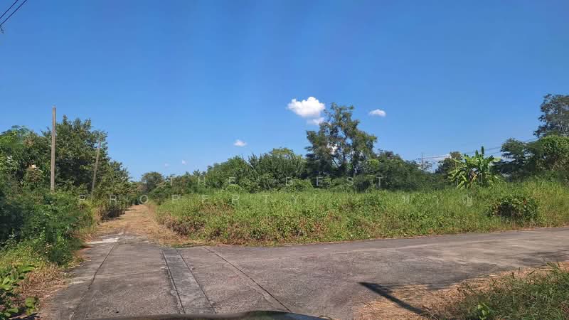 ที่ดินธัญบุรี ปทุมธานี, ปทุมธานี, ลำผักกูด, ธัญบุรี, ปทุมธานี, 264 ตร.ม., ที่ดิน ขาย, โดย The Best Property หาญ, 500432170 - DDproperty.com