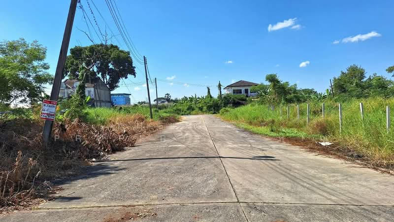 ที่ดินธัญบุรี ปทุมธานี, ปทุมธานี, ลำผักกูด, ธัญบุรี, ปทุมธานี, 264 ตร.ม., ที่ดิน ขาย, โดย The Best Property หาญ, 500432170 - DDproperty.com