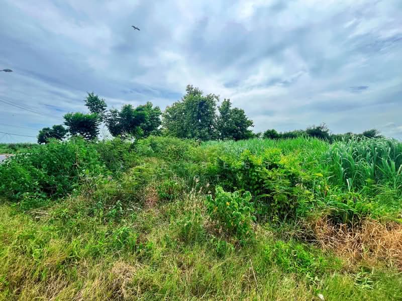 ที่ดินท่ามะกา กาญจนบุรี, Kanchanaburi, Nong Lan, Tha Maka, Kanchanaburi, , 29,896 sqm, Land For Sale, by The Best Property แอ้, 500432399 - DDproperty.com