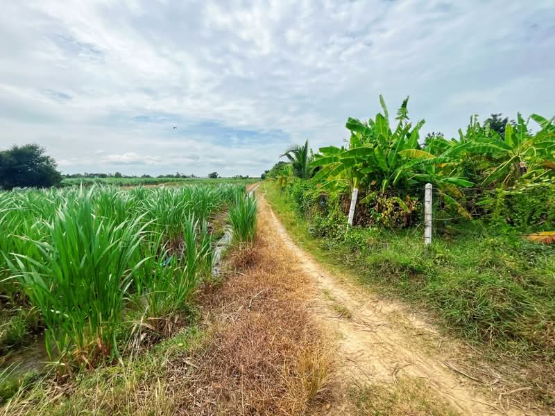ที่ดินท่ามะกา กาญจนบุรี, กาญจนบุรี, หนองลาน, ท่ามะกา, กาญจนบุรี, 29,896 ตร.ม., ที่ดิน ขาย, โดย The Best Property แอ้, 500432399 - DDproperty.com