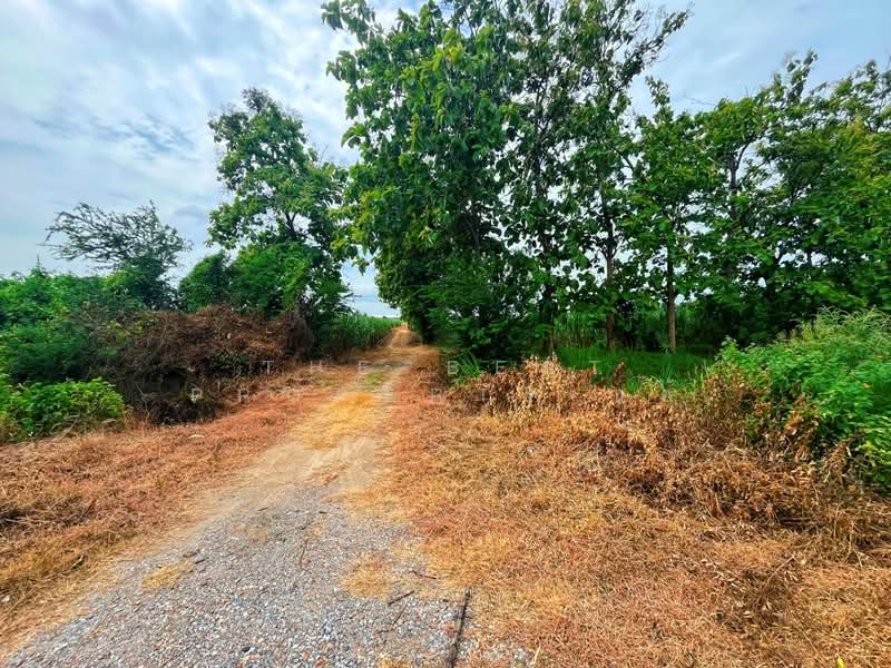 ที่ดินท่ามะกา กาญจนบุรี, กาญจนบุรี, หนองลาน, ท่ามะกา, กาญจนบุรี, 29,896 ตร.ม., ที่ดิน ขาย, โดย The Best Property แอ้, 500432399 - DDproperty.com