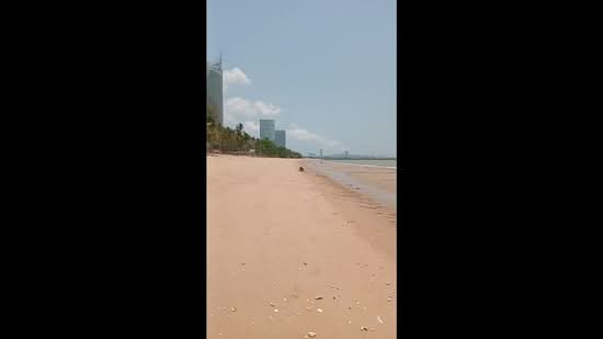 Beach front land for sale, Chon Buri (Pattaya), Nong Pru, Bang Lamung (Pattaya), Chon Buri (Pattaya), , 96,000 sqm, Business For Sale, by Savarin Hotavaithaya, 500432494 - DDproperty.com