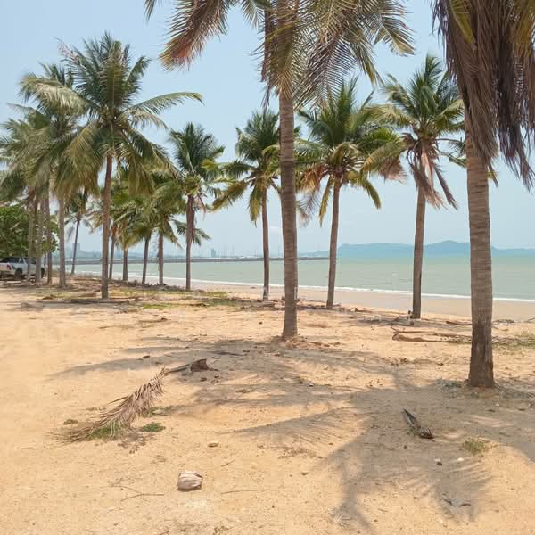 Beach front land for sale, ชลบุรี, หนองปรือ, บางละมุง, ชลบุรี, 96,000 ตร.ม., กิจการ ขาย, โดย Savarin Hotavaithaya, 500432494 - DDproperty.com