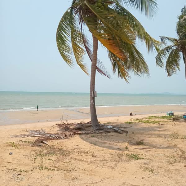 Beach front land for sale, ชลบุรี, หนองปรือ, บางละมุง, ชลบุรี, 96,000 ตร.ม., กิจการ ขาย, โดย Savarin Hotavaithaya, 500432494 - DDproperty.com
