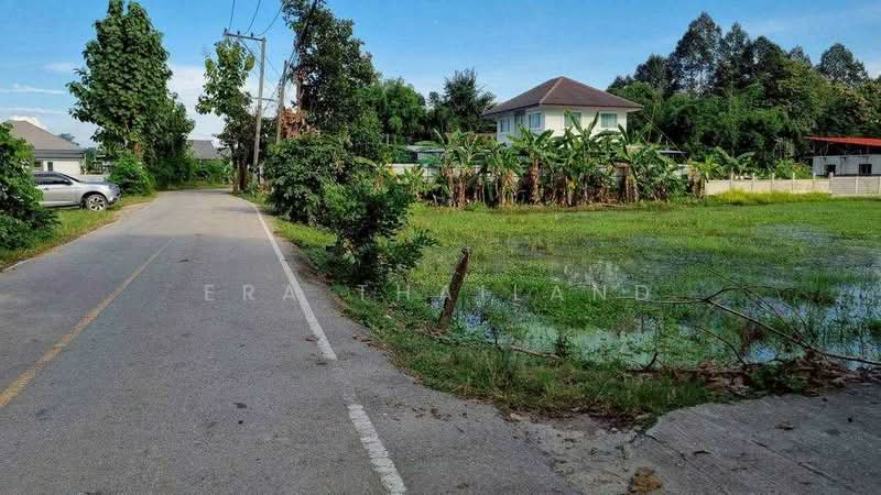ขายที่ดิน 2 ไร่เศษ ราคา 4 ล้าน ใกล้มหาวิทยาลัยแม่โจ้ เชียงใหม่, Chiang Mai, Muang Kaeo, Mae Rim, Chiang Mai, , 3,764 sqm, Land For Sale, by ERA Thailand, 500432526 - DDproperty.com