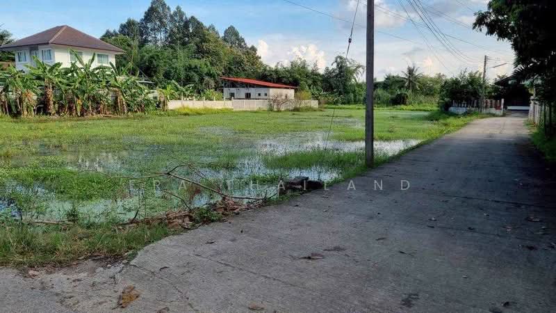 ขายที่ดิน 2 ไร่เศษ ราคา 4 ล้าน ใกล้มหาวิทยาลัยแม่โจ้ เชียงใหม่, Chiang Mai, Muang Kaeo, Mae Rim, Chiang Mai, , 3,764 sqm, Land For Sale, by ERA Thailand, 500432526 - DDproperty.com
