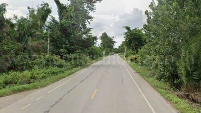 ซอย 3 หินดาด, จันทบุรี, สุขุมวิท, วังใหม่, นายายอาม, จันทบุรี, 3,908 ตร.ม., ที่ดิน ขาย, โดย คุณ มณีรัตน์ (เจี๊ยบ), 500432562 - DDproperty.com