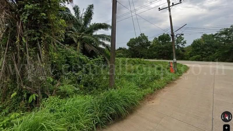 ซอย 3 หินดาด, Chanthaburi, สุขุมวิท, Wang Mai, Na Yai Am, Chanthaburi, , 3,908 sqm, Land For Sale, by คุณ มณีรัตน์ (เจี๊ยบ), 500432562 - DDproperty.com