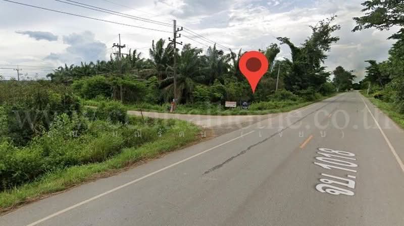 ซอย 3 หินดาด, จันทบุรี, สุขุมวิท, วังใหม่, นายายอาม, จันทบุรี, 3,908 ตร.ม., ที่ดิน ขาย, โดย คุณ มณีรัตน์ (เจี๊ยบ), 500432562 - DDproperty.com