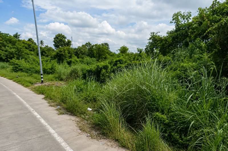 ขายที่ดินเปล่า 141 ตร.ว. ทำเลดี บางพระ – ศรีราชา
ซอยบ้านลุงเทิ้ม ใกล้อ่างเก็บน้ำบางพระ จังหวัดชลบุรี, ชลบุรี, บางพระ, ศรีราชา, ชลบุรี, 564 ตร.ม., ที่ดิน ขาย, โดย ERA Thailand, 500432696 - DDproperty.com