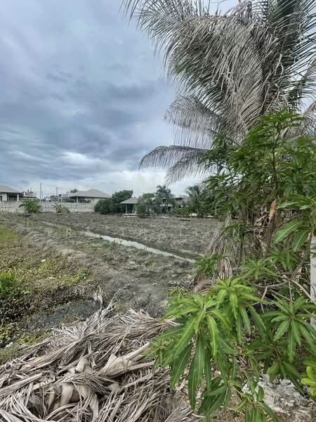 ขายที่ดินแปลงสวย 2 งาน 23 ตร.ว. คลองใหม่ สามพราน นครปฐม, Nakhon Pathom, Khlong Mai, Sam Phran, Nakhon Pathom, , 892 sqm, Land For Sale, by ERA Thailand, 500432720 - DDproperty.com