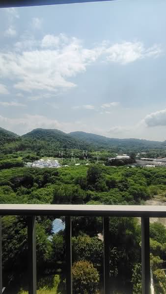 KnightsBridge The Ocean Sriracha, Chon Buri (Pattaya), 3 Sukhumvit, Surasak, Si Racha, Chon Buri (Pattaya), Studio, 30 sqm, Condo For Rent, by Neng Winner, 500432932 - DDproperty.com