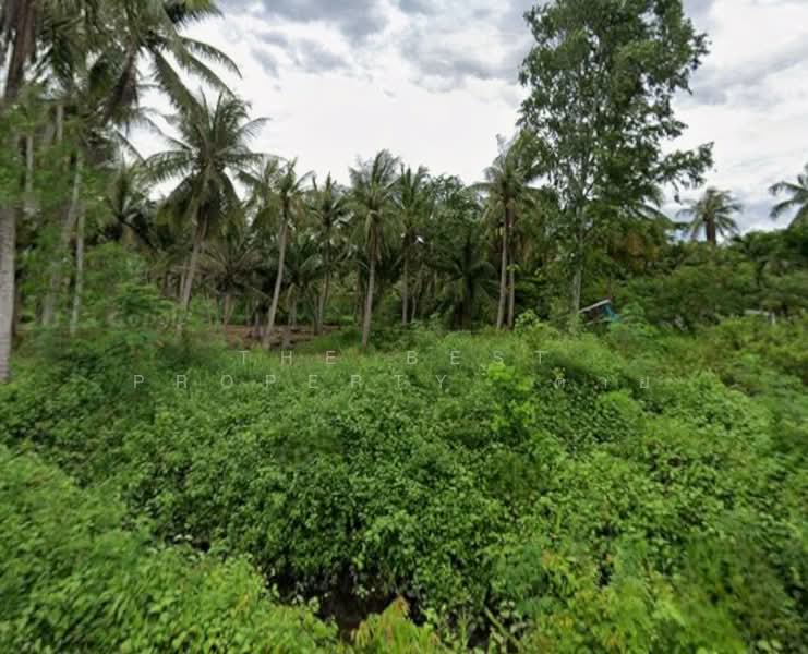 ที่ดินบ้านแหลม เพชรบุรี, เพชรบุรี, บางครก, บ้านแหลม, เพชรบุรี, 6,986 ตร.ม., ที่ดิน ขาย, โดย The Best Property ต่าย, 500432950 - DDproperty.com