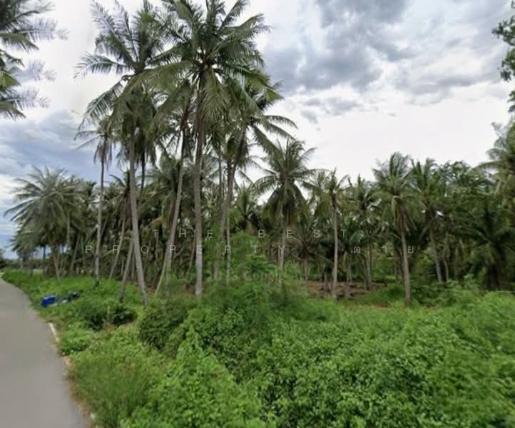 ที่ดินบ้านแหลม เพชรบุรี, เพชรบุรี, บางครก, บ้านแหลม, เพชรบุรี, 6,986 ตร.ม., ที่ดิน ขาย, โดย The Best Property ต่าย, 500432950 - DDproperty.com