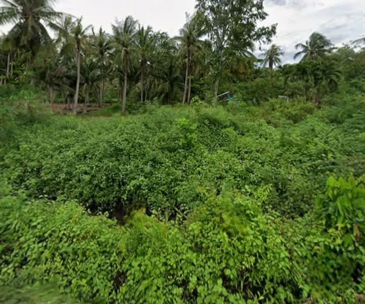 ที่ดินบ้านแหลม เพชรบุรี, เพชรบุรี, บางครก, บ้านแหลม, เพชรบุรี, 6,986 ตร.ม., ที่ดิน ขาย, โดย The Best Property ต่าย, 500432950 - DDproperty.com