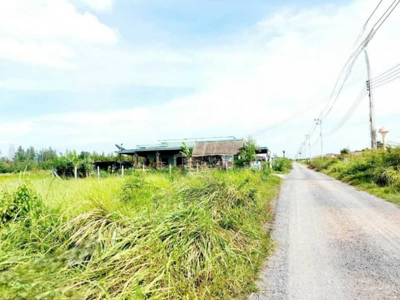 ที่ดินองครักษ์ นครนายก, นครนายก, ศีรษะกระบือ, องครักษ์, นครนายก, 420 ตร.ม., ที่ดิน ขาย, โดย The Best Property หาญ, 500433015 - DDproperty.com