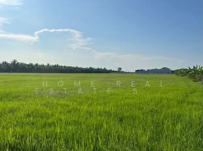 ขาย - ที่ดิน ราชบุรี, ราชบุรี