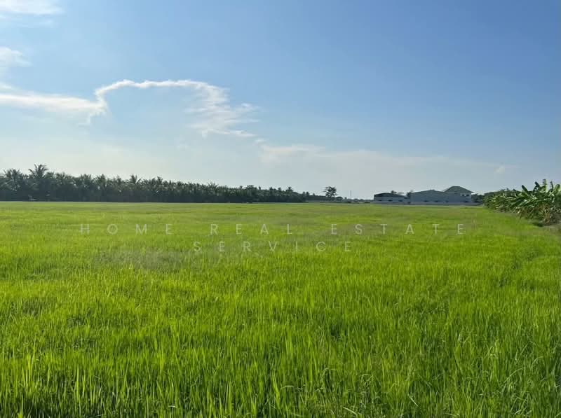 Land in Ratchaburi, Ratchaburi, Ko San Phra, Wat Phleng, Ratchaburi, , 19,944 sqm, Land For Sale, by HOME Real Estate Service, 500433028 - DDproperty.com