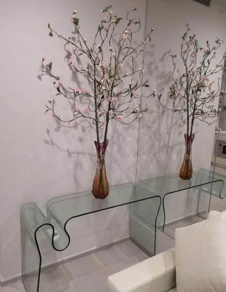 Noble Ploenchit, Bangkok, 1035 Ploenchit Road, Lumphini, Pathum Wan, Bangkok, 1 Bedroom, 53 sqm, Condo For Rent, by Phacharakorn Anusiri, 500433095 - DDproperty.com
