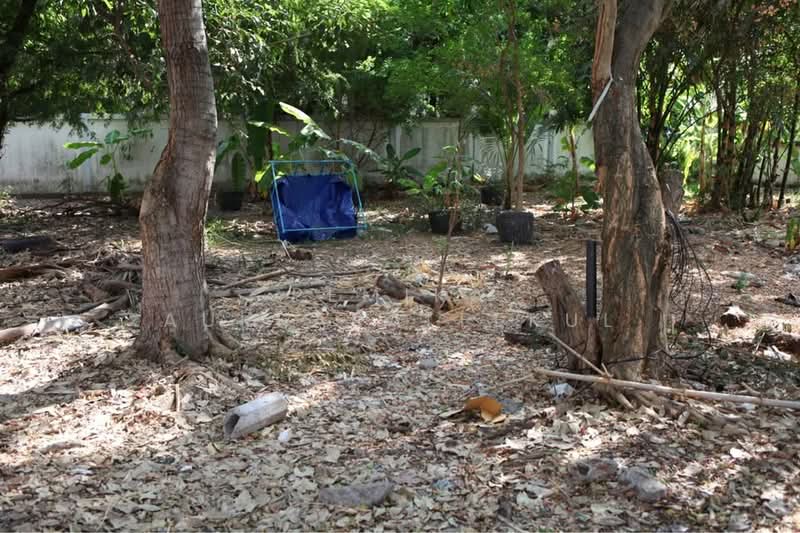 1-BR House, Bangkok, Wat Tha Pra, Bangkok Yai, Bangkok, 1 Bedroom, 47 sqm, Single Detached House For Sale, by Pemika Aukkaraleekul, 500433371 - DDproperty.com
