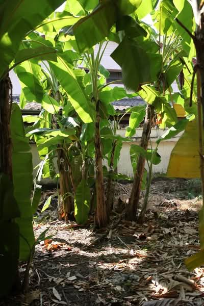 1-BR House, Bangkok, Wat Tha Pra, Bangkok Yai, Bangkok, 1 Bedroom, 47 sqm, Single Detached House For Sale, by Pemika Aukkaraleekul, 500433371 - DDproperty.com