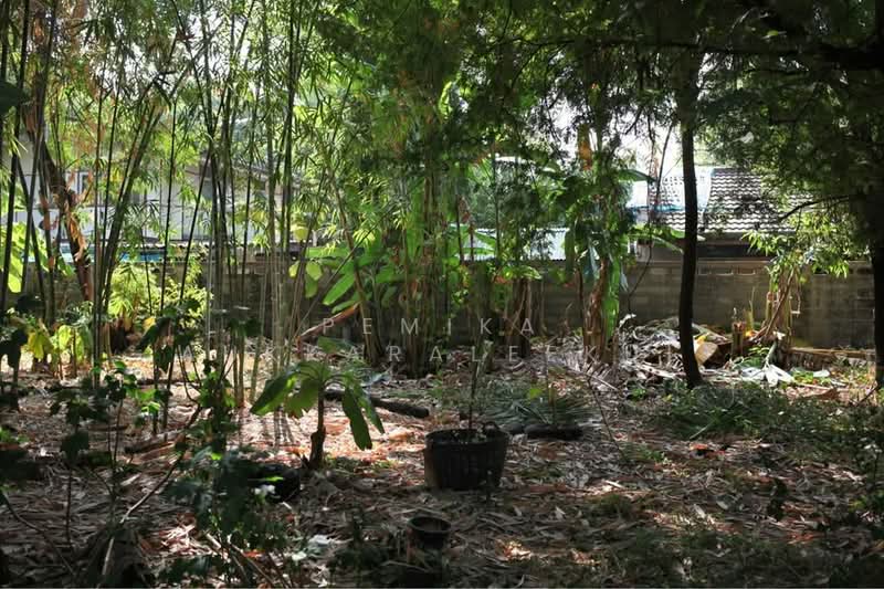 1-BR House, Bangkok, Wat Tha Pra, Bangkok Yai, Bangkok, 1 Bedroom, 47 sqm, Single Detached House For Sale, by Pemika Aukkaraleekul, 500433371 - DDproperty.com