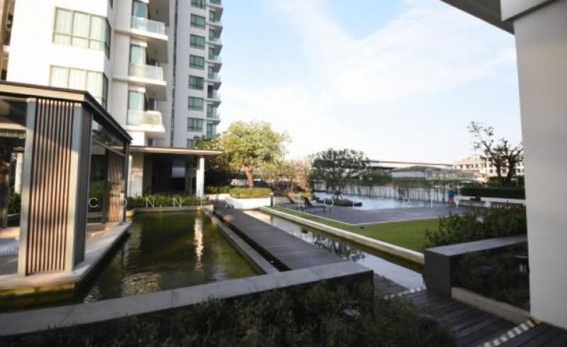 The Room Sukhumvit 62, Bangkok, 2288 Sukhumvit Road, Bang Chak, Phra Khanong, Bangkok, 1 Bedroom, 45 sqm, Condo For Rent, by Connex Property, 500433427 - DDproperty.com