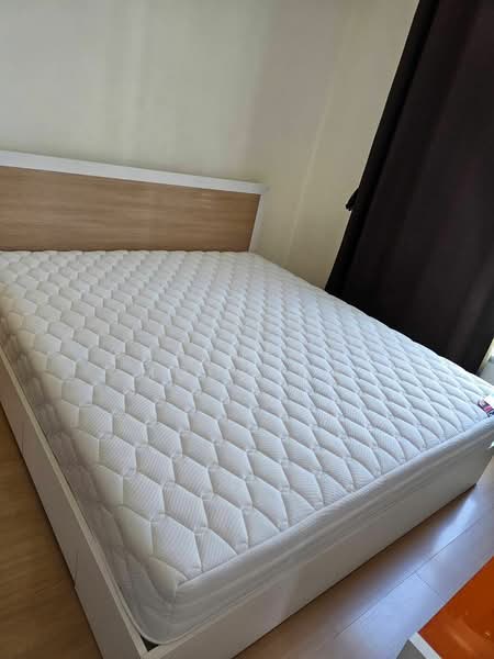Life @ Sukhumvit 65, Bangkok, Sukhumvit Road, Phra Kanong Nua, Watthana, Bangkok, 2 Bedrooms, 63 sqm, Condo For Rent, by Chatuphon Mochida, 500433801 - DDproperty.com
