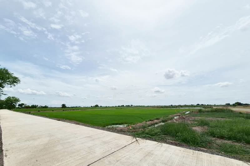 สถานีรถไฟบางน้ำเปรี้ยว, ฉะเชิงเทรา, บางขนาก, บางน้ำเปรี้ยว, ฉะเชิงเทรา, 10,616 ตร.ม., ที่ดิน ขาย, โดย ชนะชาติ นนท์ตา, 500433991 - DDproperty.com