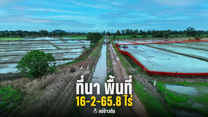 Maekaotom chiangrai, Chiang Rai, Mae Kao Tom, Muang Chiang Rai, Chiang Rai, , 26,663 sqm, Land For Sale, by Tanapat Yamsai, 500433997 - DDproperty.com