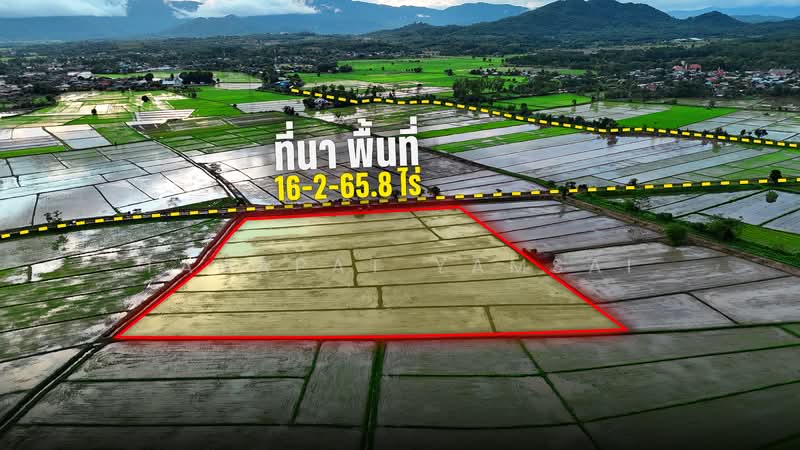 Maekaotom chiangrai, Chiang Rai, Mae Kao Tom, Muang Chiang Rai, Chiang Rai, , 26,663 sqm, Land For Sale, by Tanapat Yamsai, 500433997 - DDproperty.com