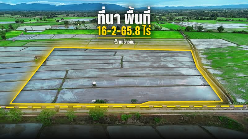 Maekaotom chiangrai, Chiang Rai, Mae Kao Tom, Muang Chiang Rai, Chiang Rai, , 26,663 sqm, Land For Sale, by Tanapat Yamsai, 500433997 - DDproperty.com