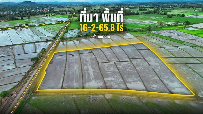 Maekaotom chiangrai, Chiang Rai, Mae Kao Tom, Muang Chiang Rai, Chiang Rai, , 26,663 sqm, Land For Sale, by Tanapat Yamsai, 500433997 - DDproperty.com